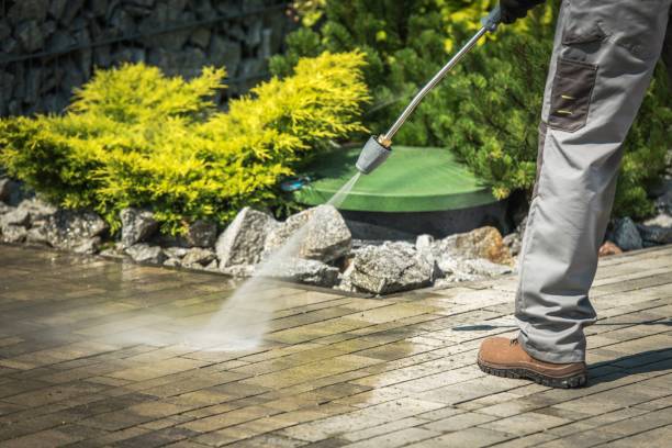 Best Sidewalk and Walkway Cleaning  in Palm Shores, FL