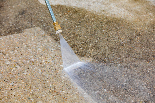 Best Boat and Dock Cleaning  in Palm Shores, FL