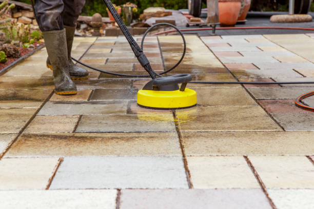 Best Gutter Cleaning  in Palm Shores, FL