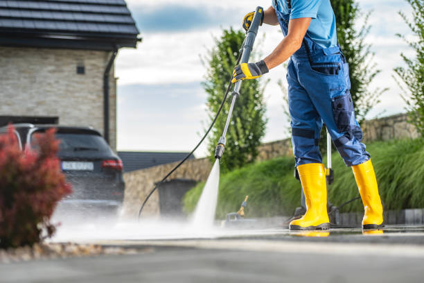Best Spring Cleaning  in Palm Shores, FL